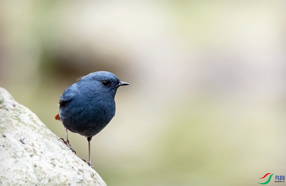 DSC_1106.jpg