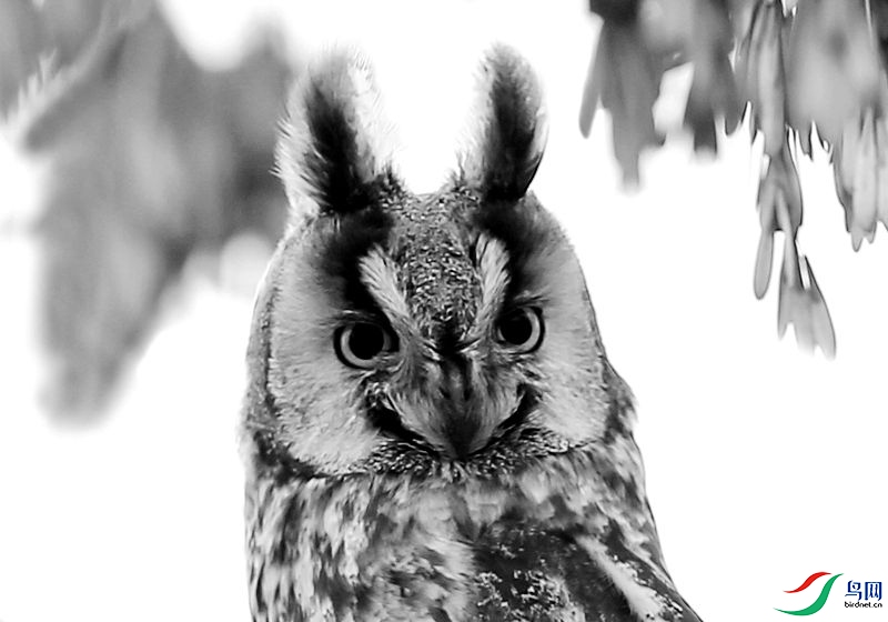 1-1-1004_����.jpg