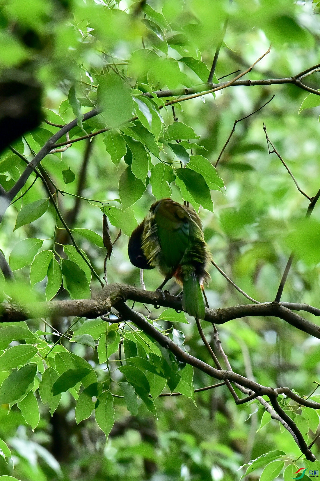 DSC_0716.JPG