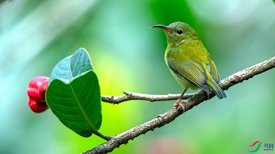 ��DSC_4084.jpg