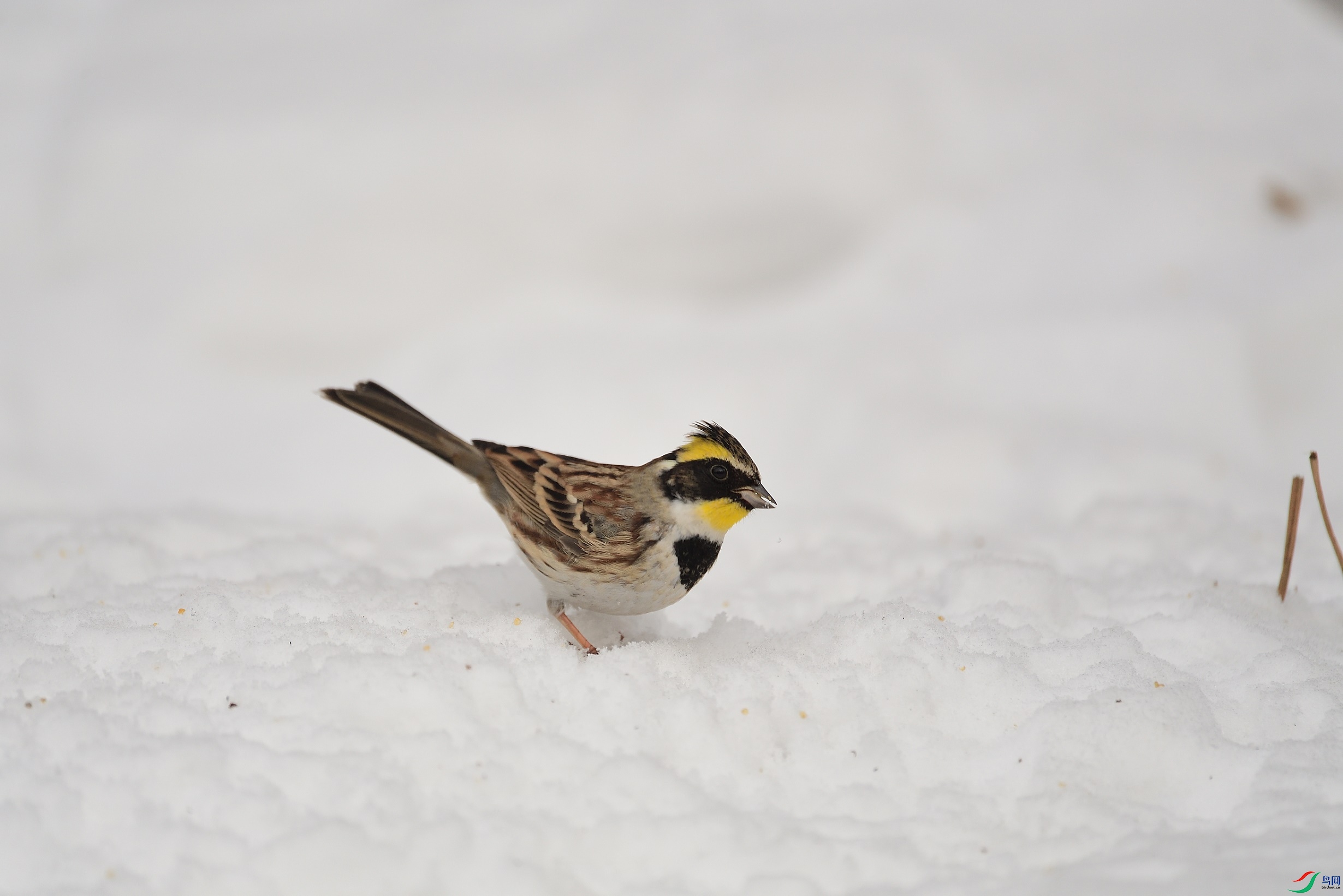 DSC_6256_00001.jpg