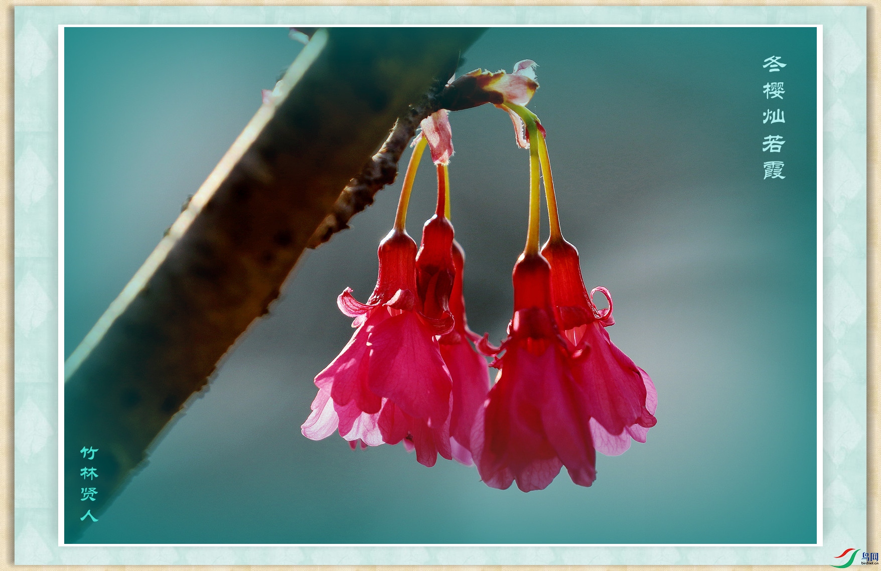 ��ӣ����ϼ