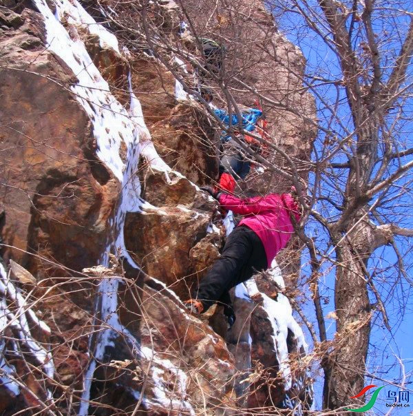 default (19)����ɽ-7-p-2.jpg