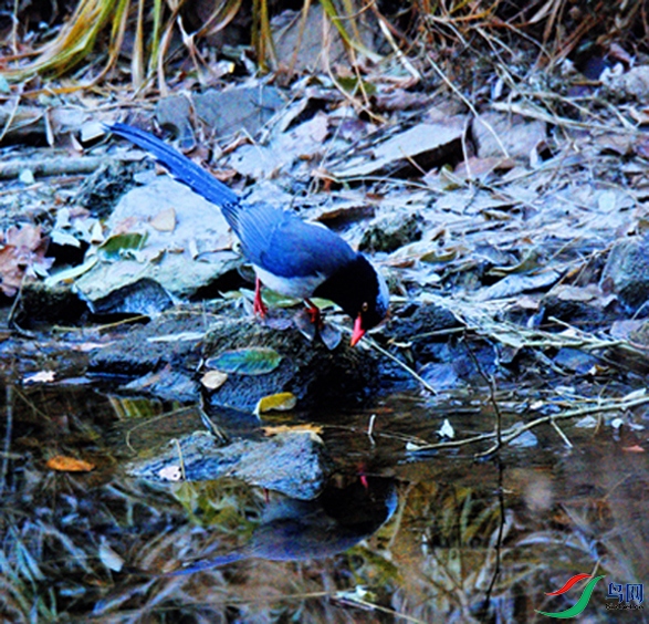 DSC_2649_00001_00001_00001-01-P-2.jpg