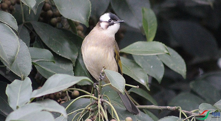 IMG_0006.jpg
