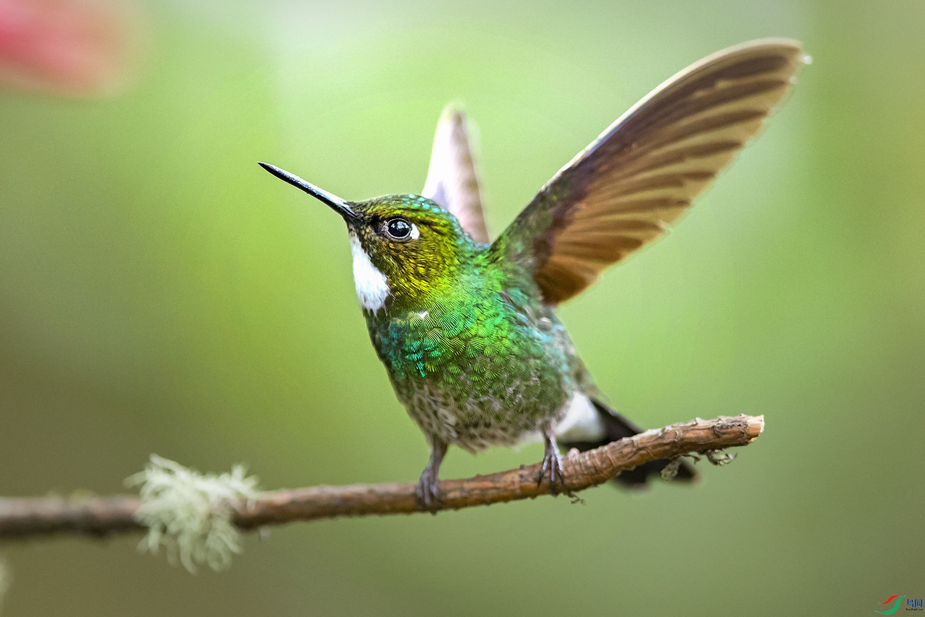 B83I6617 - ����.jpg