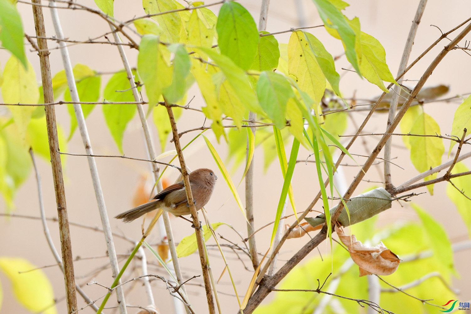 DSC_4014.jpg