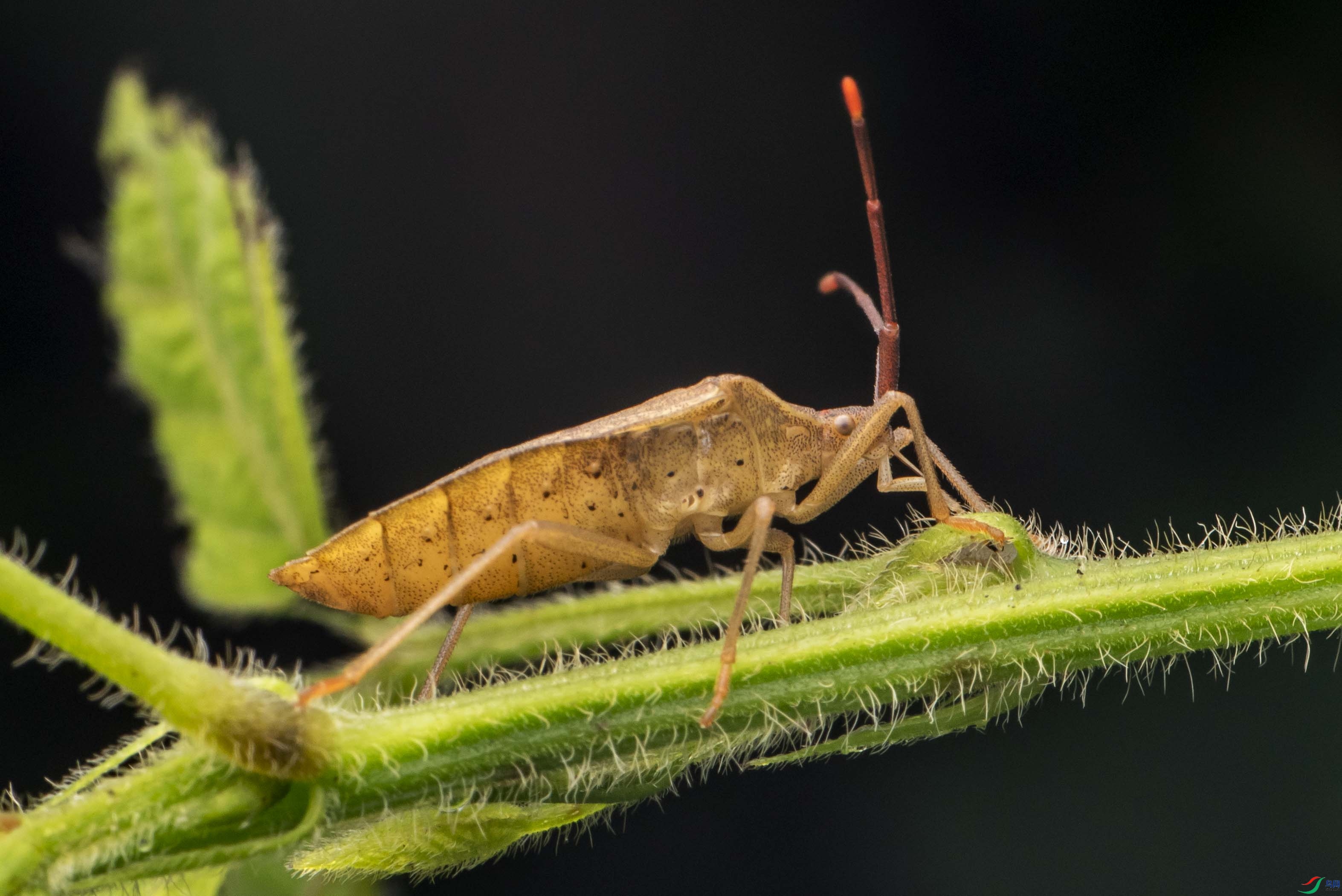 DSC_6499.jpg