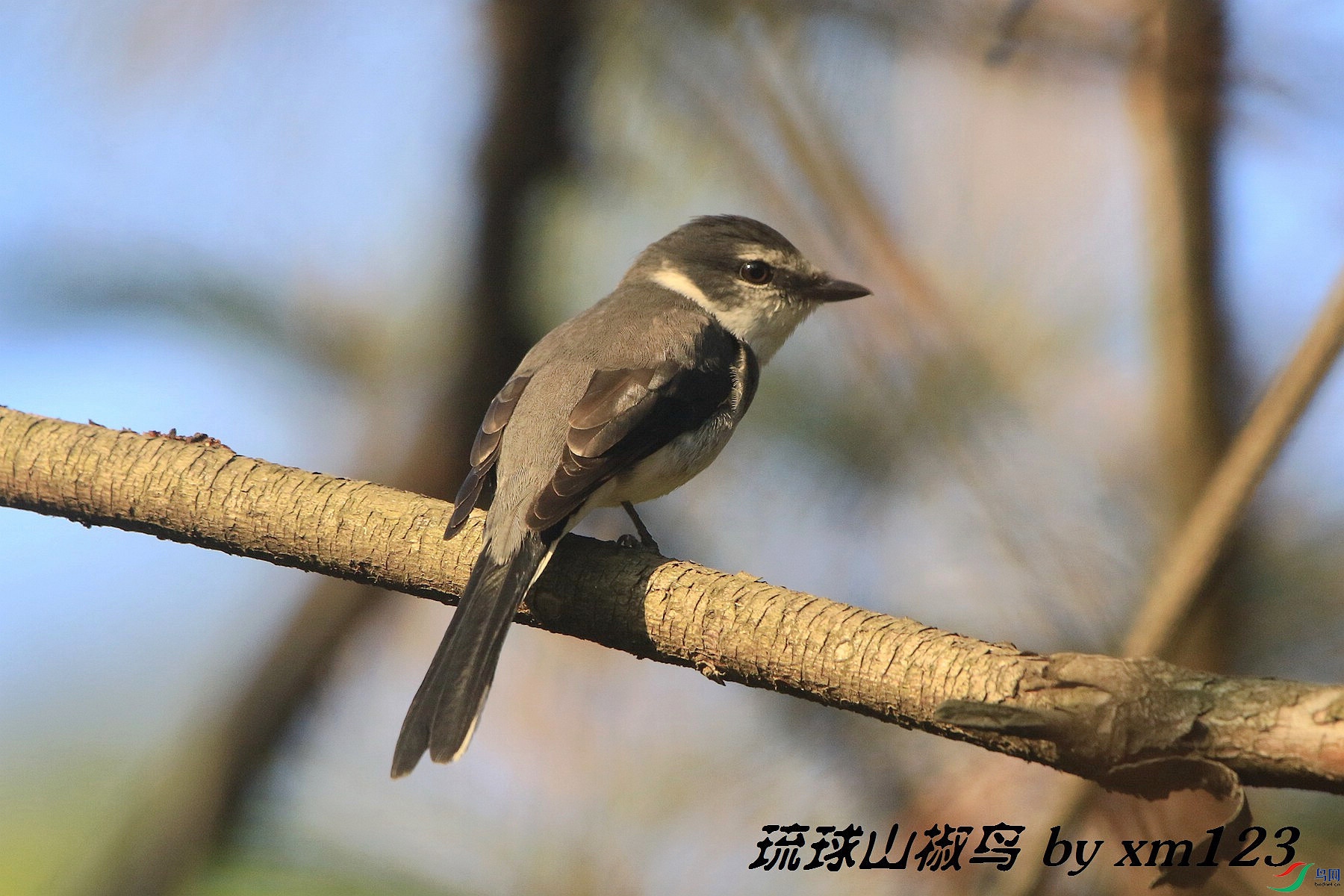 ��Ƭ-0271.jpg