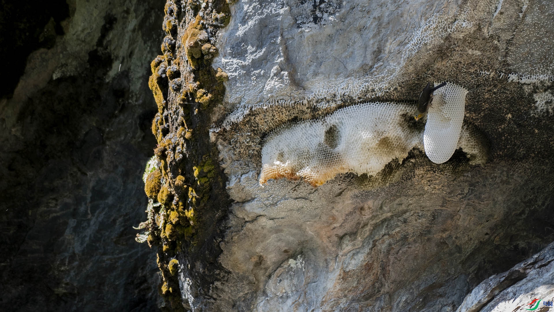 DSC_0062.jpg