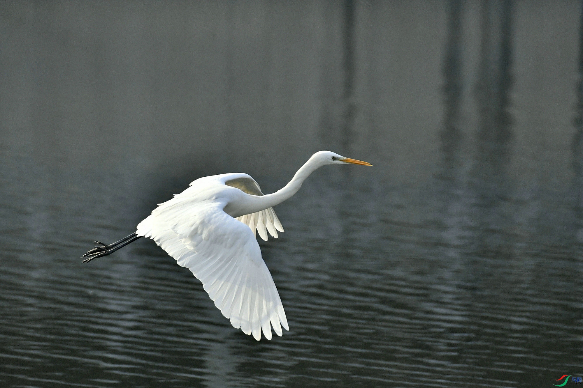 _DSC5383.JPG