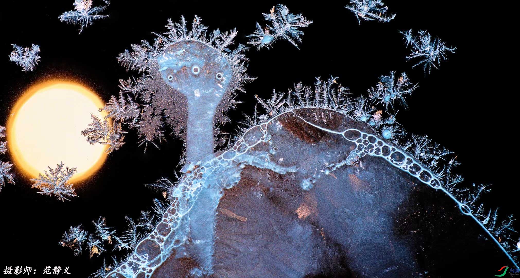 �㿴��ʲô��