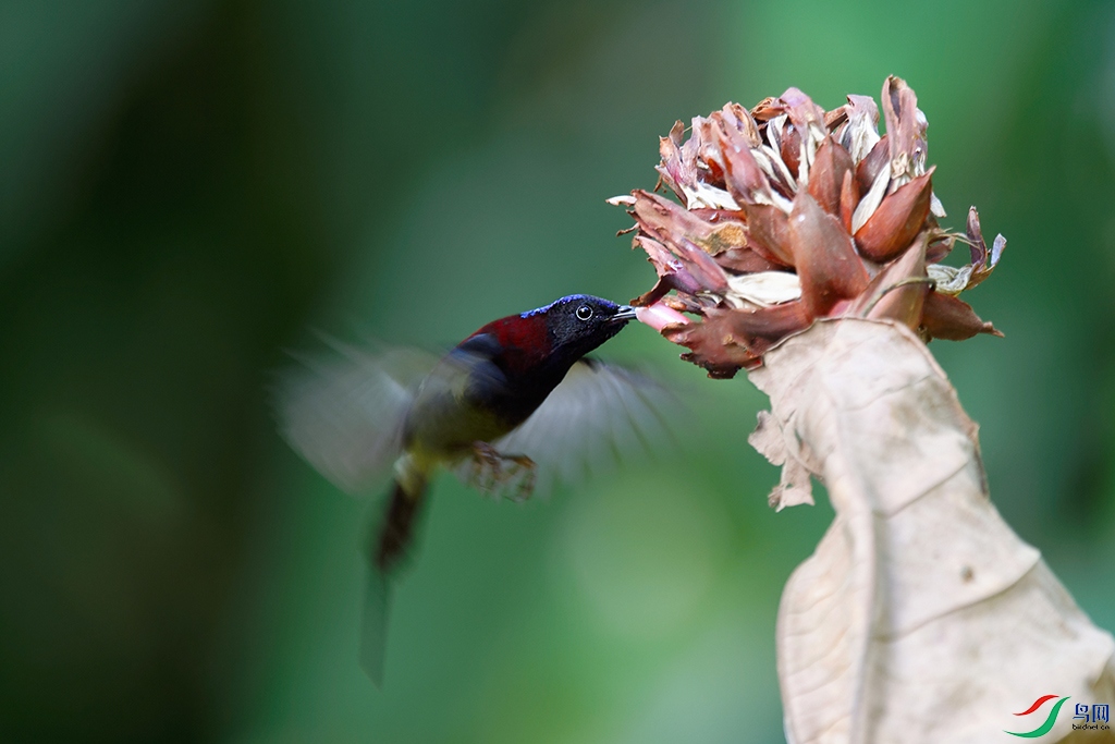 DSC_7279_DxOa.jpg