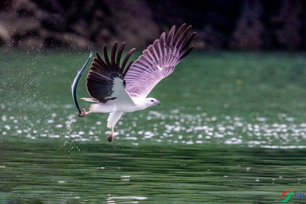 3S5A2885  01_����.jpg