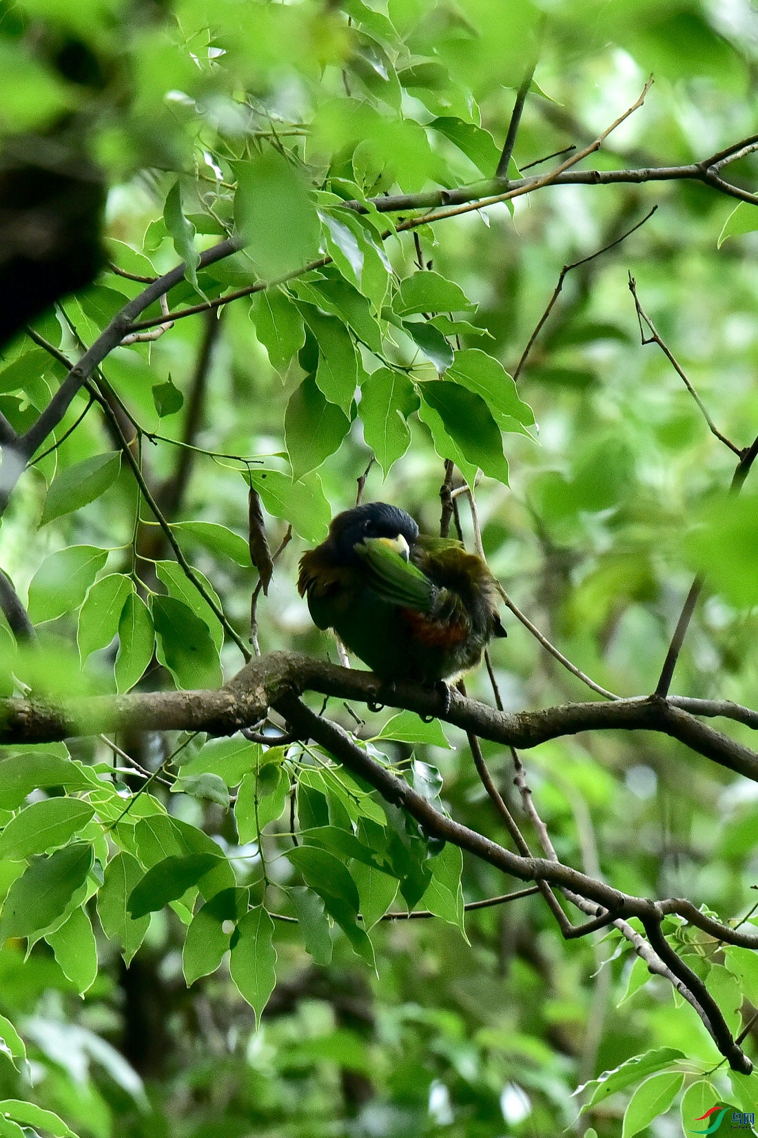 DSC_0724.JPG