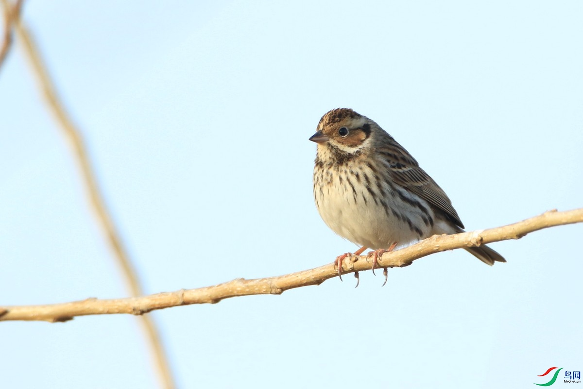 ʲô�M 0F4A4431.jpg