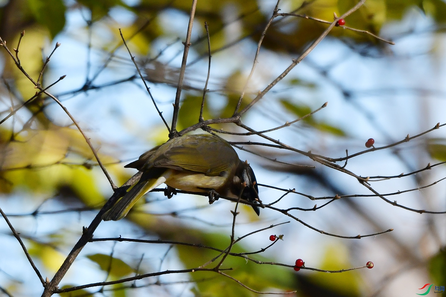 DSC_4891.jpg