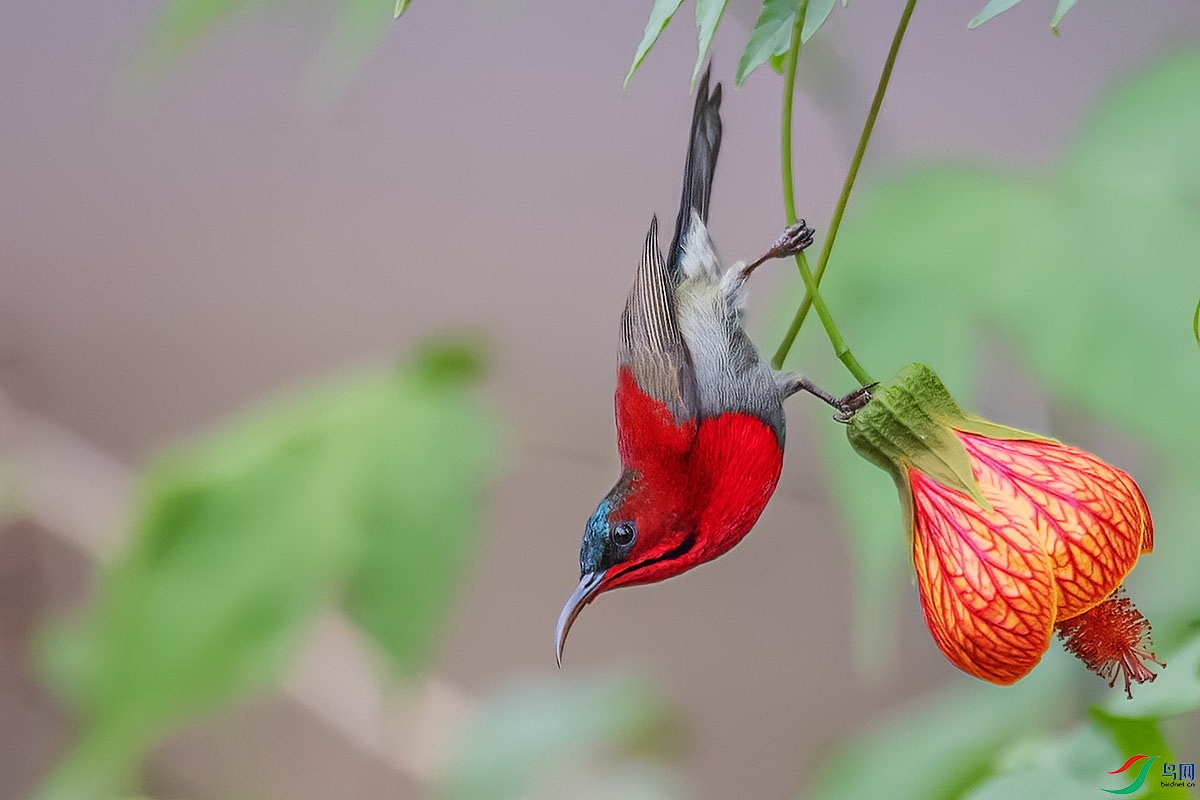 DSC_3840_1.jpg