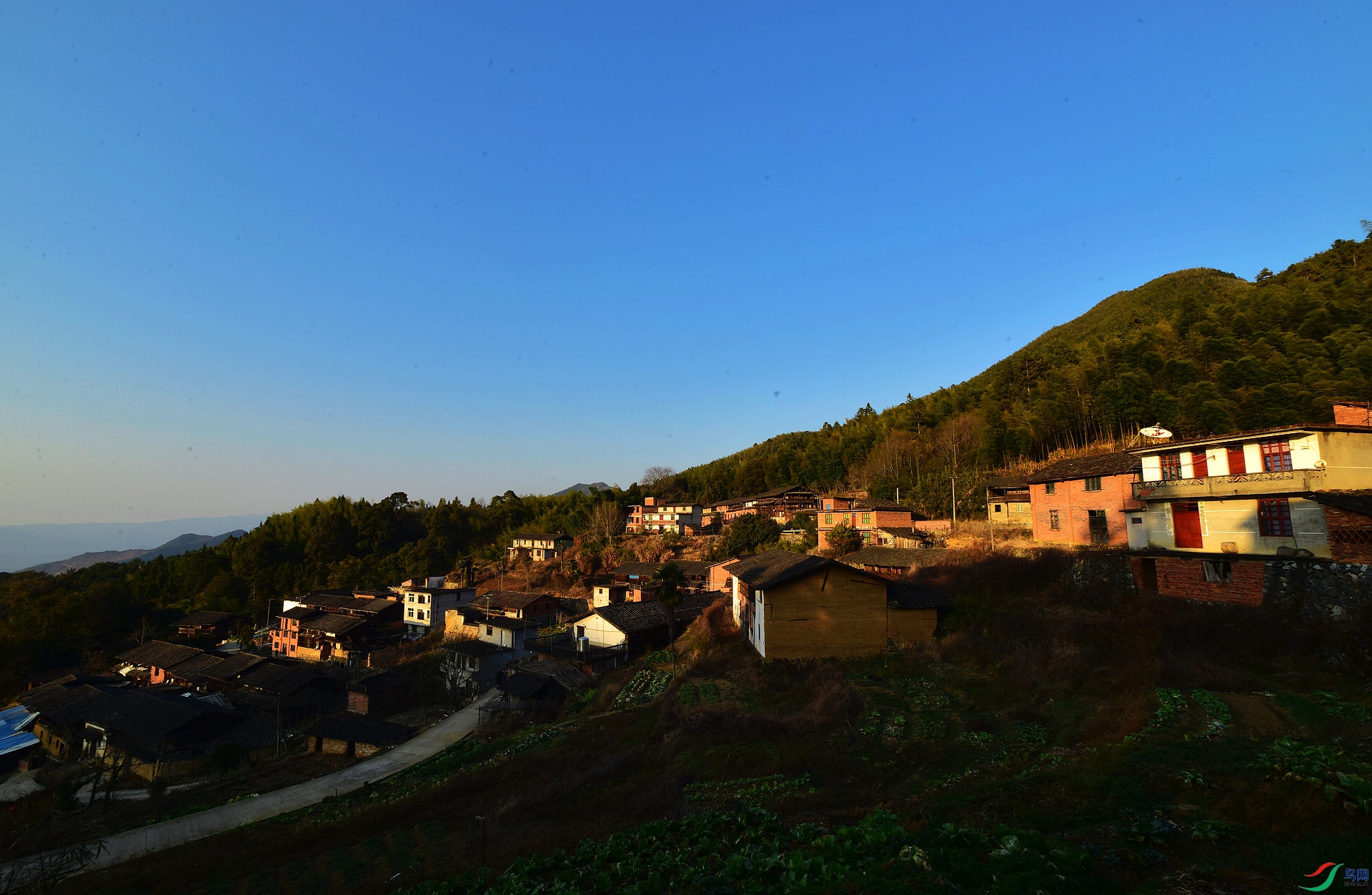 D8I_3825.jpg