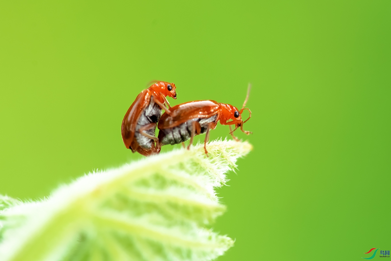 DSC_4078��2.jpg