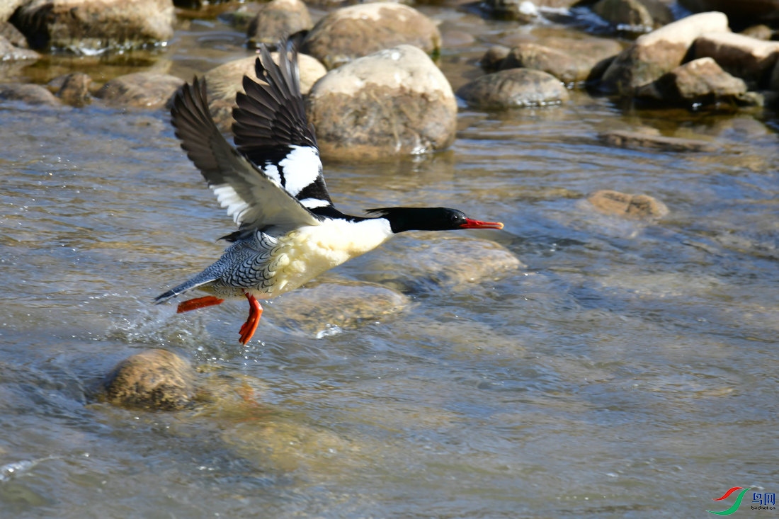 1 -- 1  DSC_1218.JPG