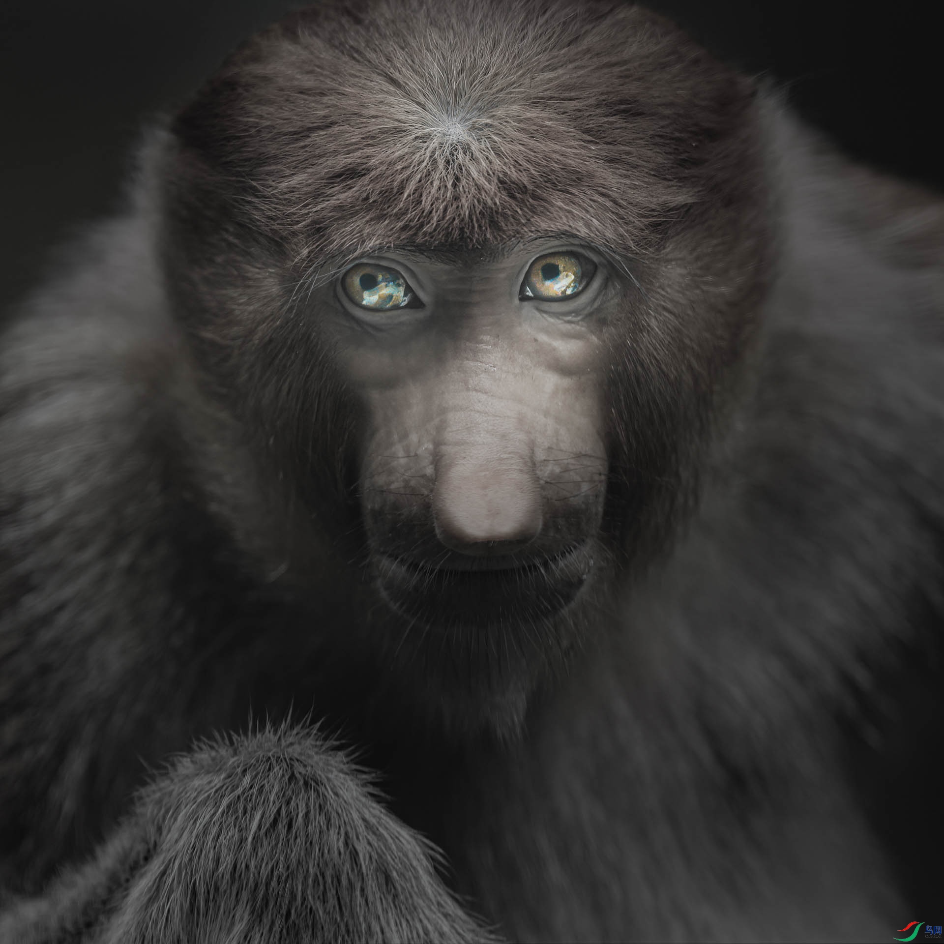 016��עĿ����Ӱ���ı� s.JPG