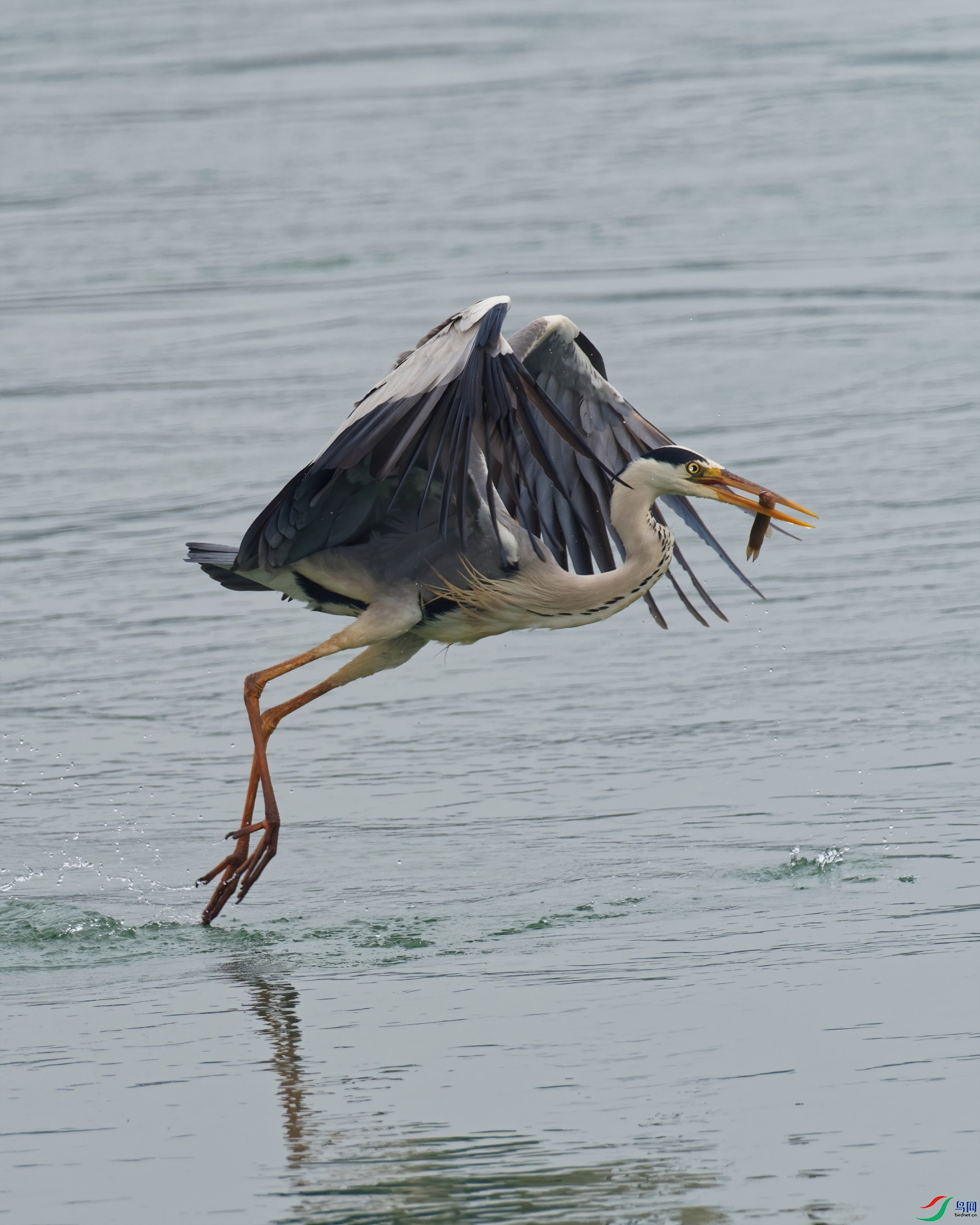 P5220190_DxO-d2.jpg