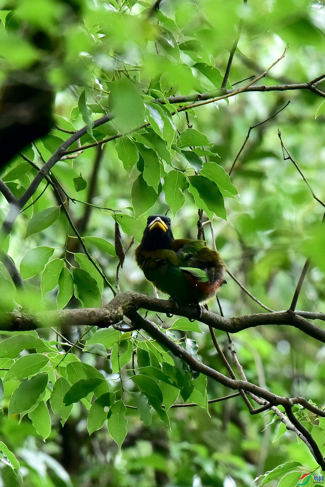 DSC_0725.JPG