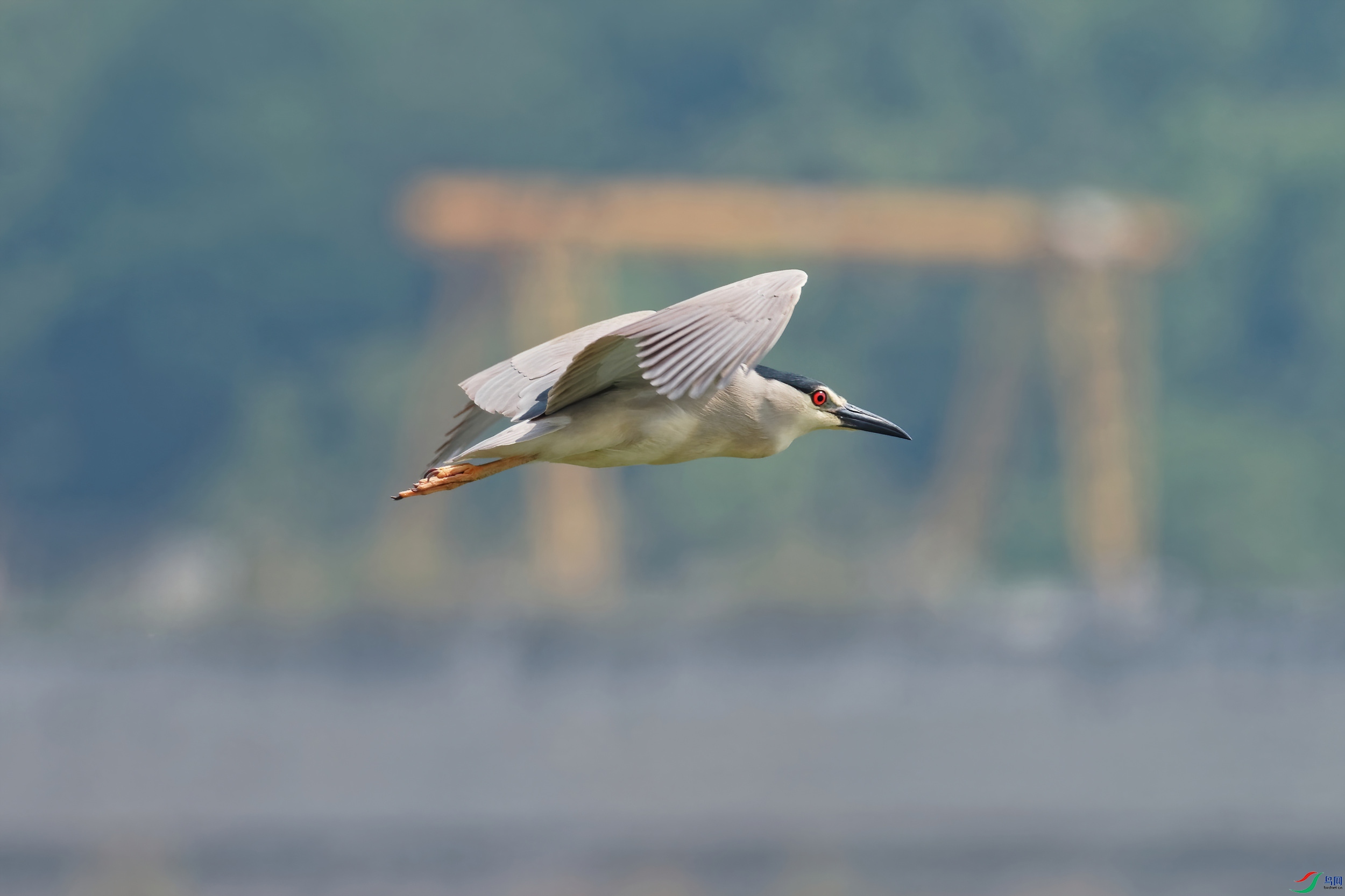 P5230380_DxO-d2.jpg