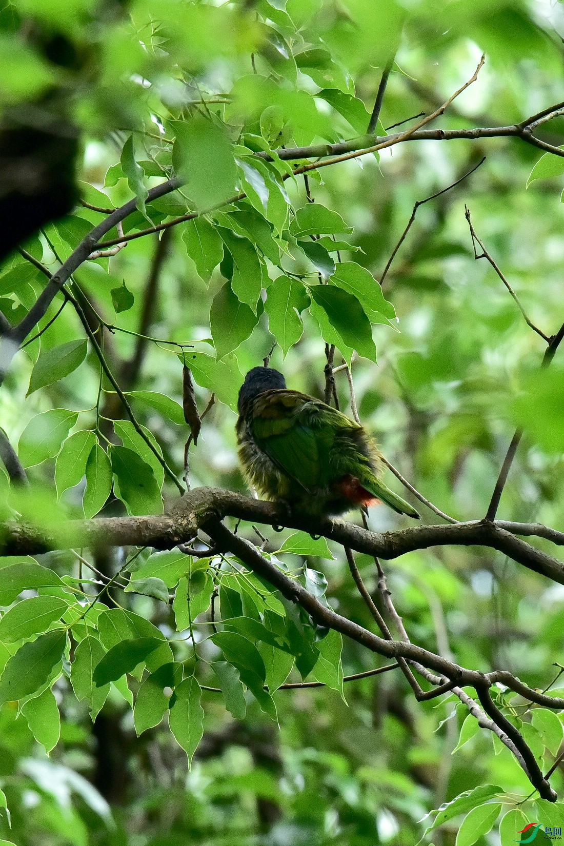 DSC_0727.JPG