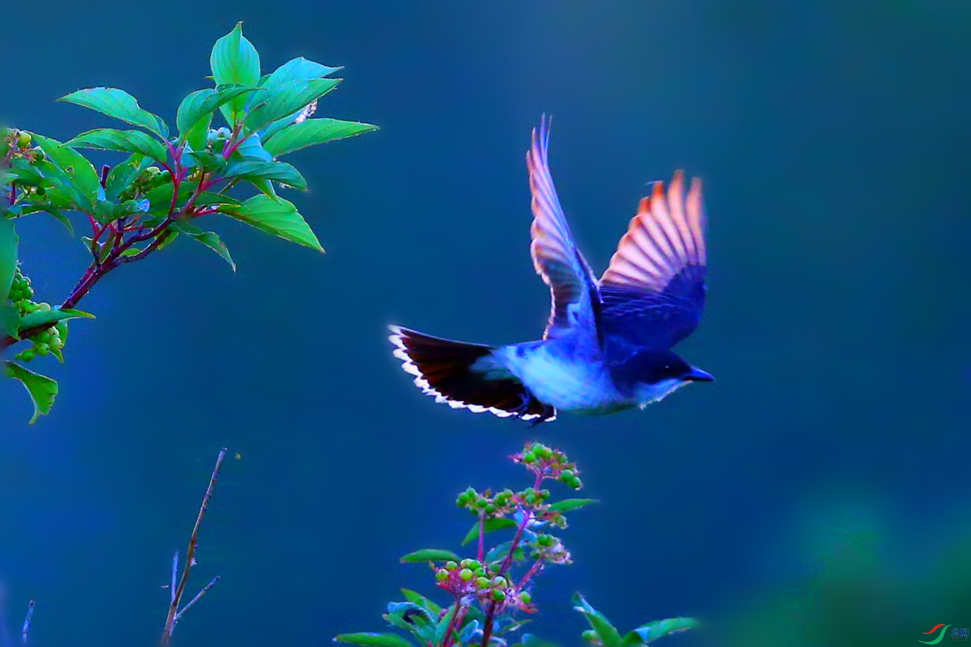 IMGL0299_����.jpg