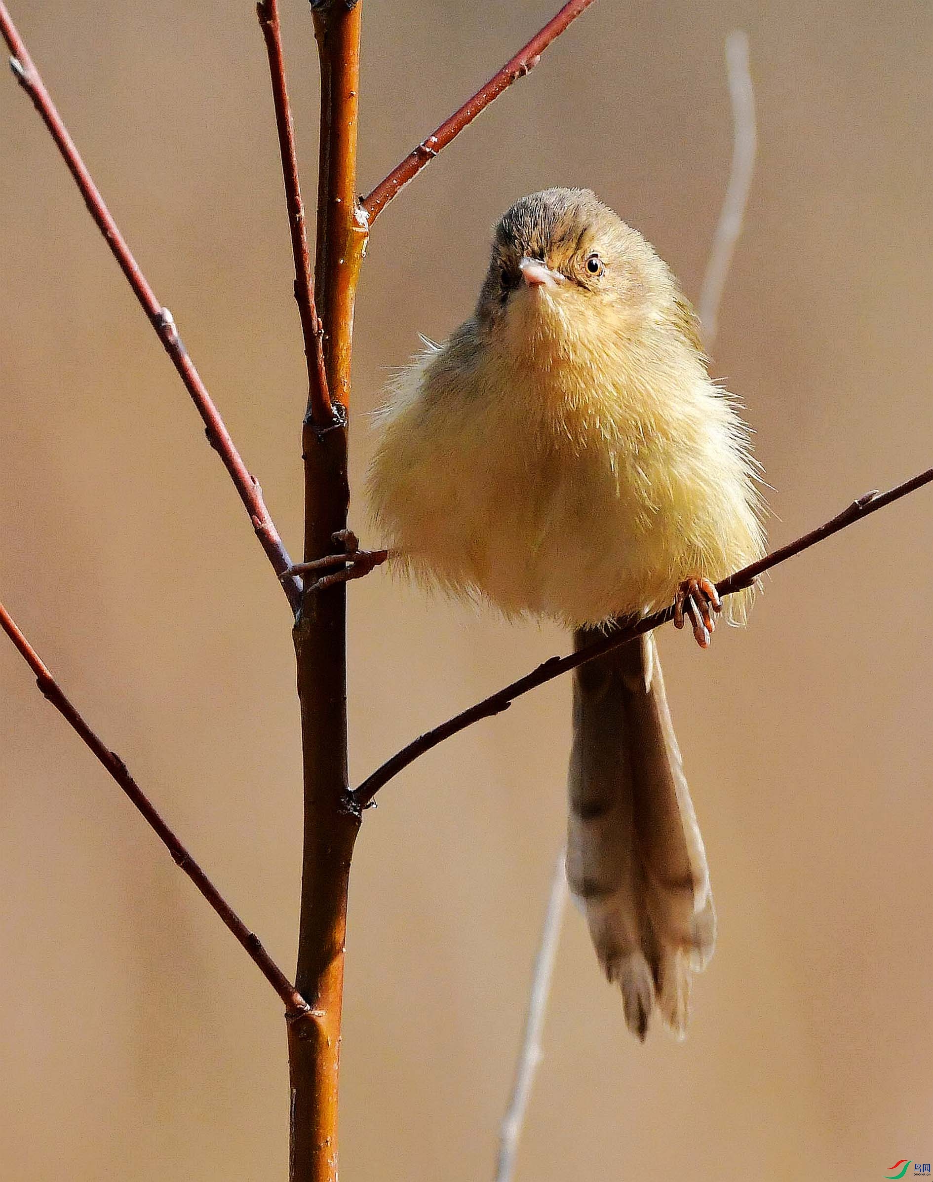 DSC_5714_����.jpg