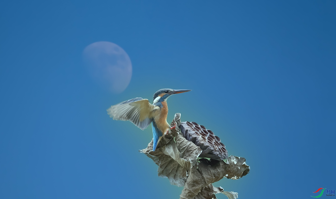 DSC_0057.jpg
