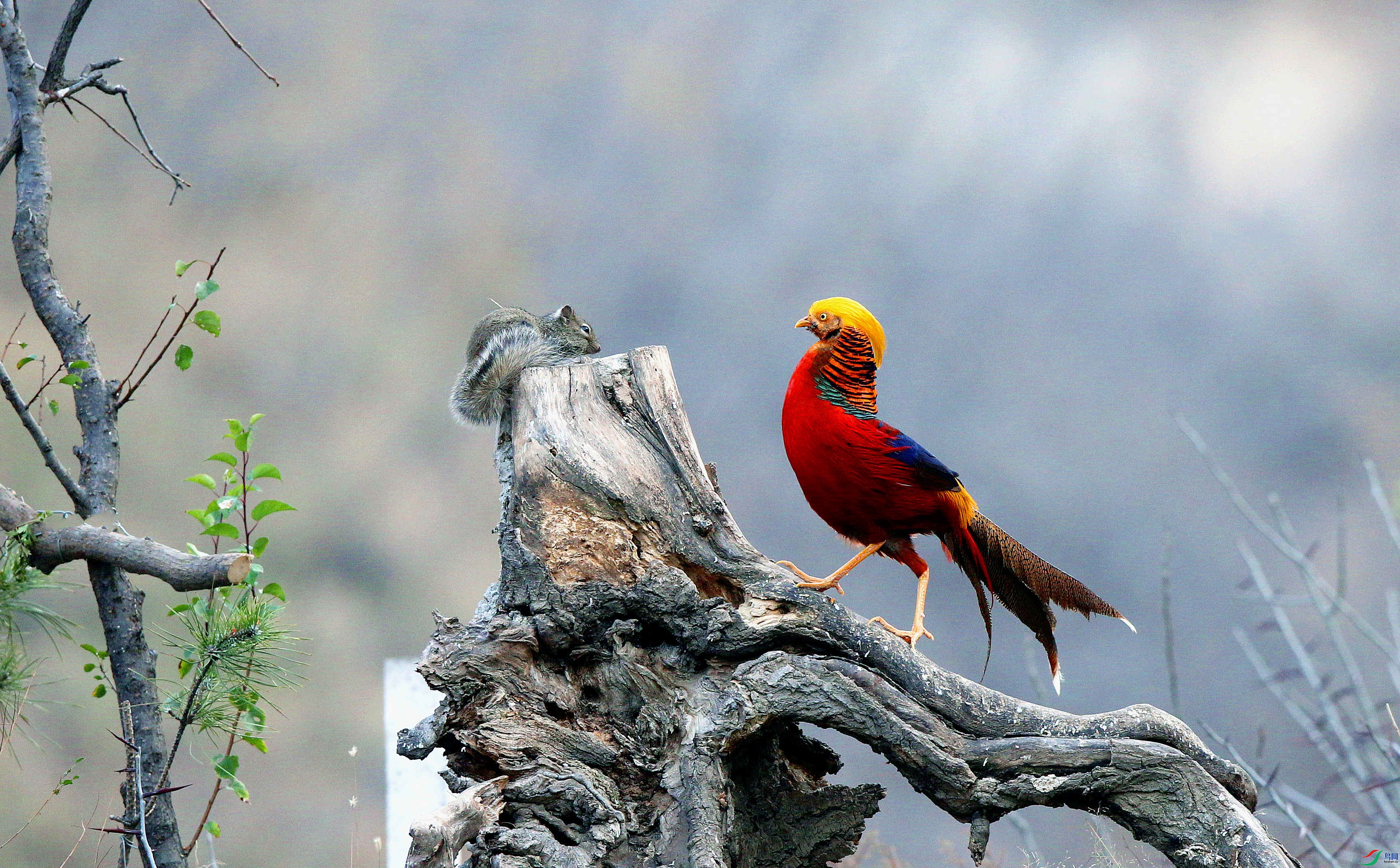 H46R4745_���� (3).jpg