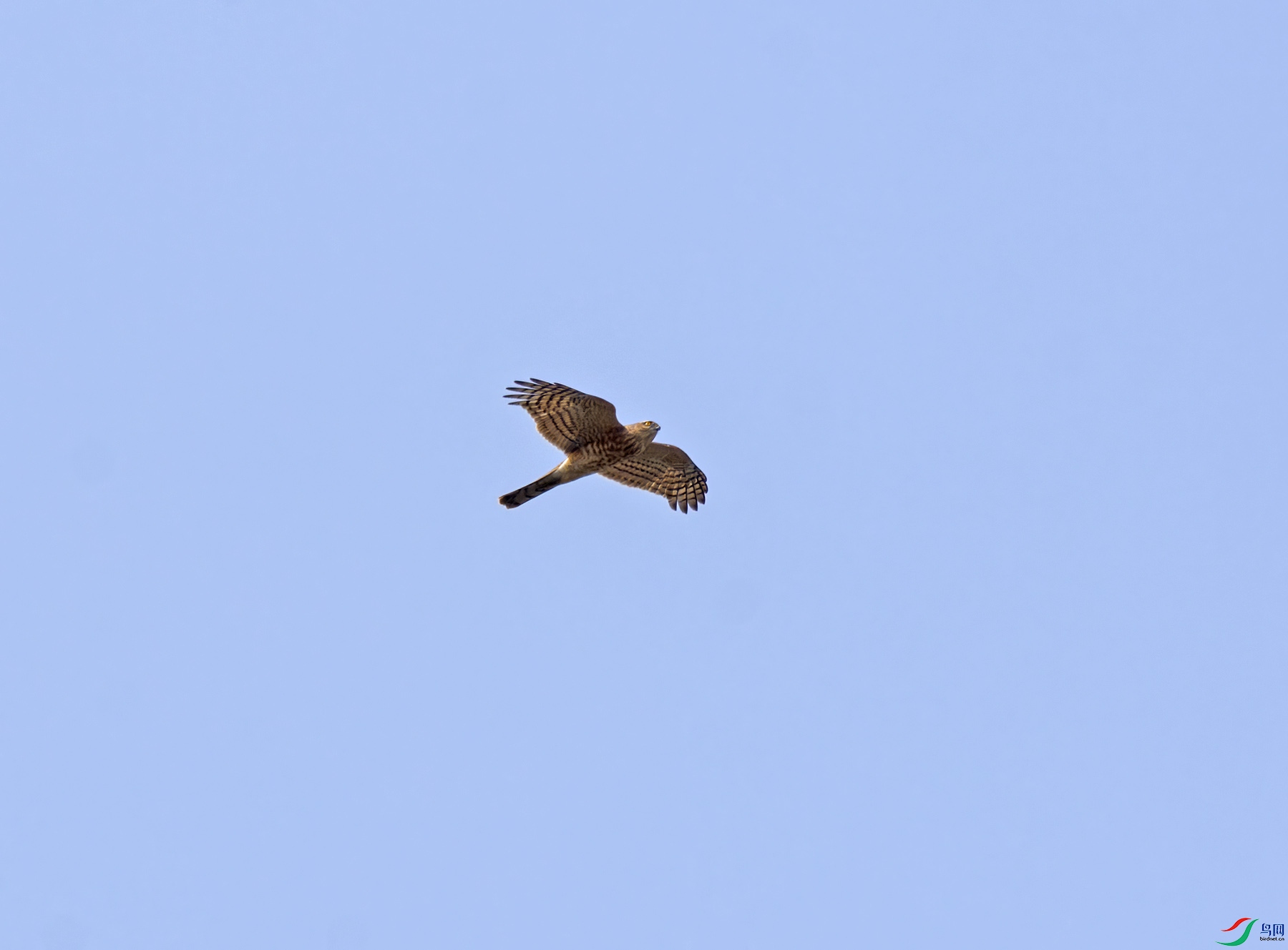 DSC_1101-1.jpg