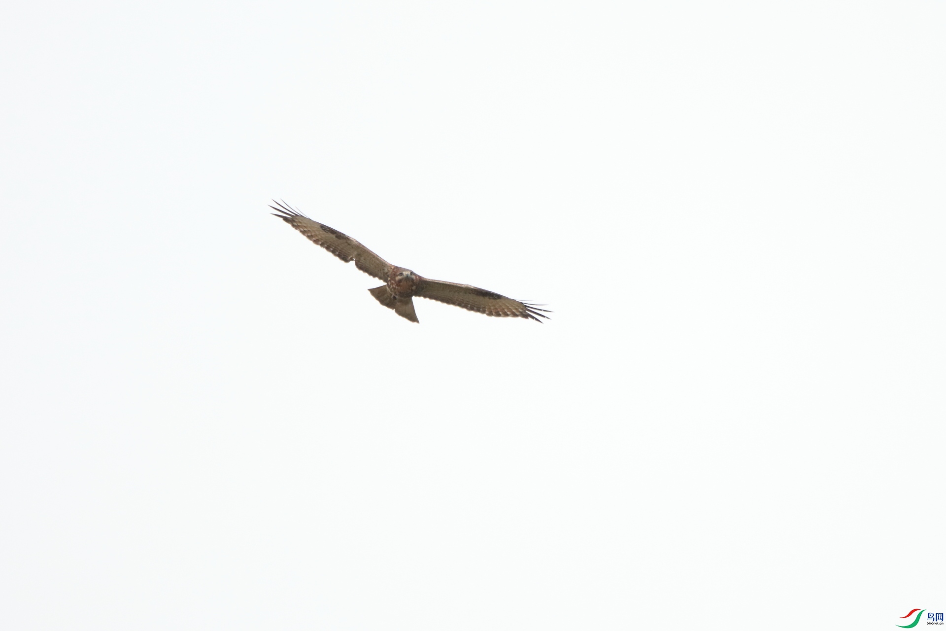 IMG_6006.JPG