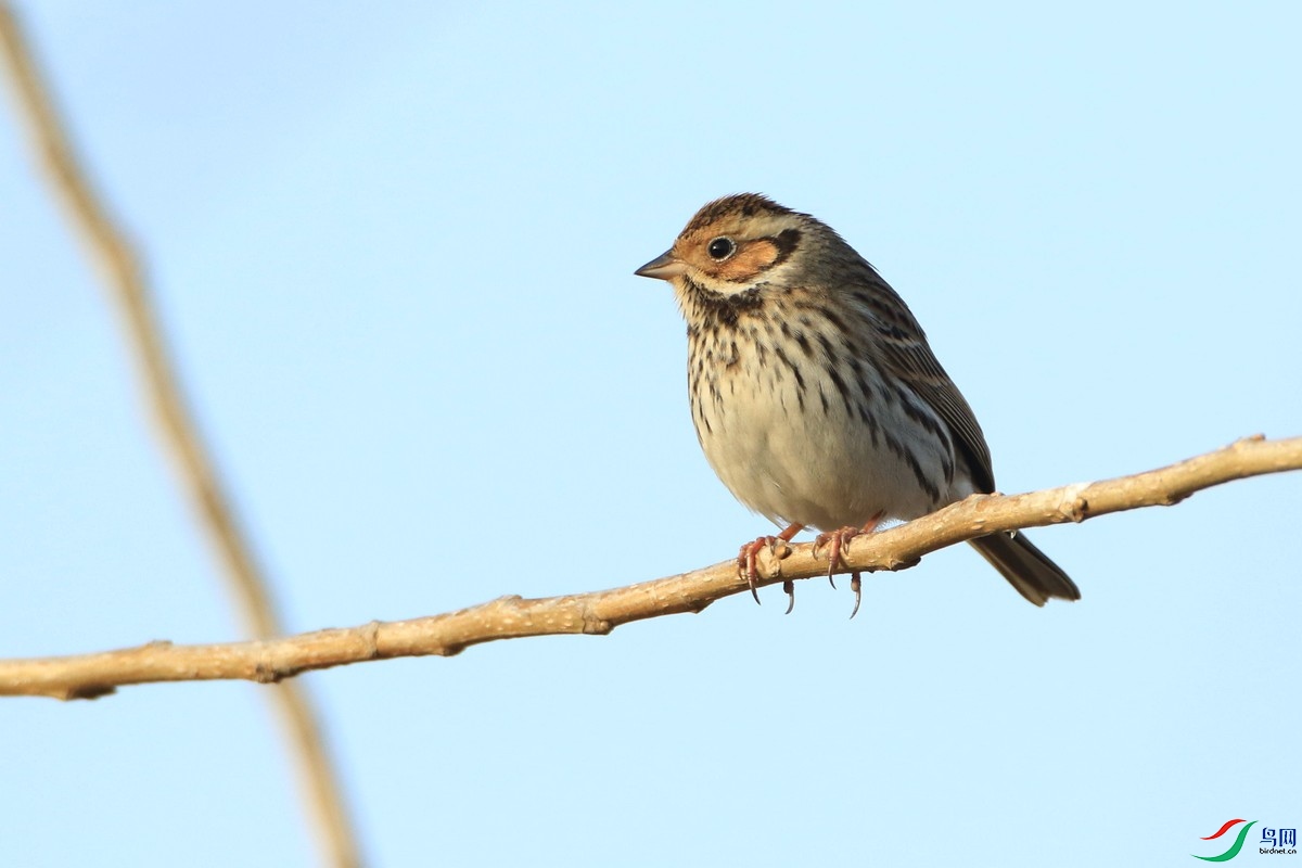 ʲô�M 11 0F4A4451.jpg