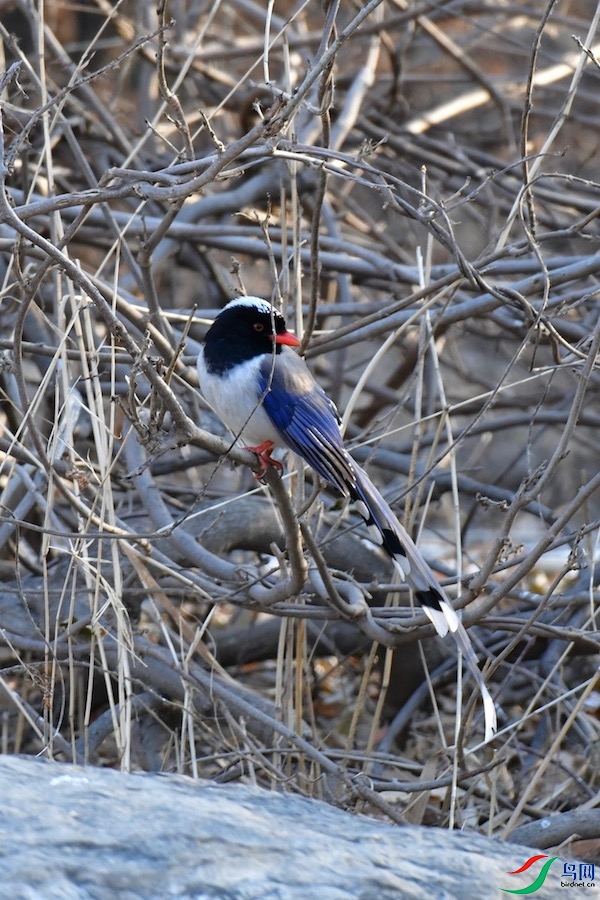 DSC_4715.jpg