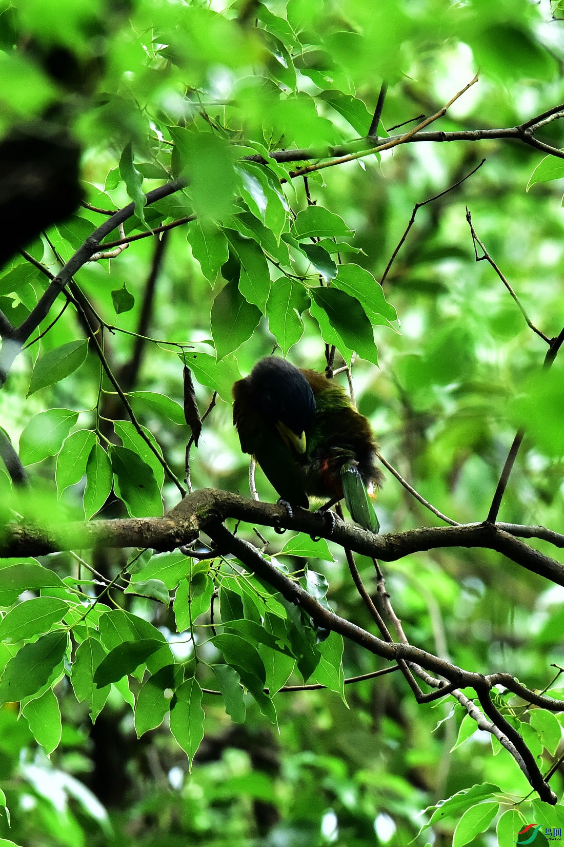 DSC_0728.JPG