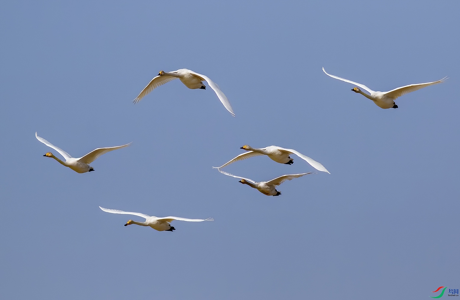 K7D00076-D_1.jpg