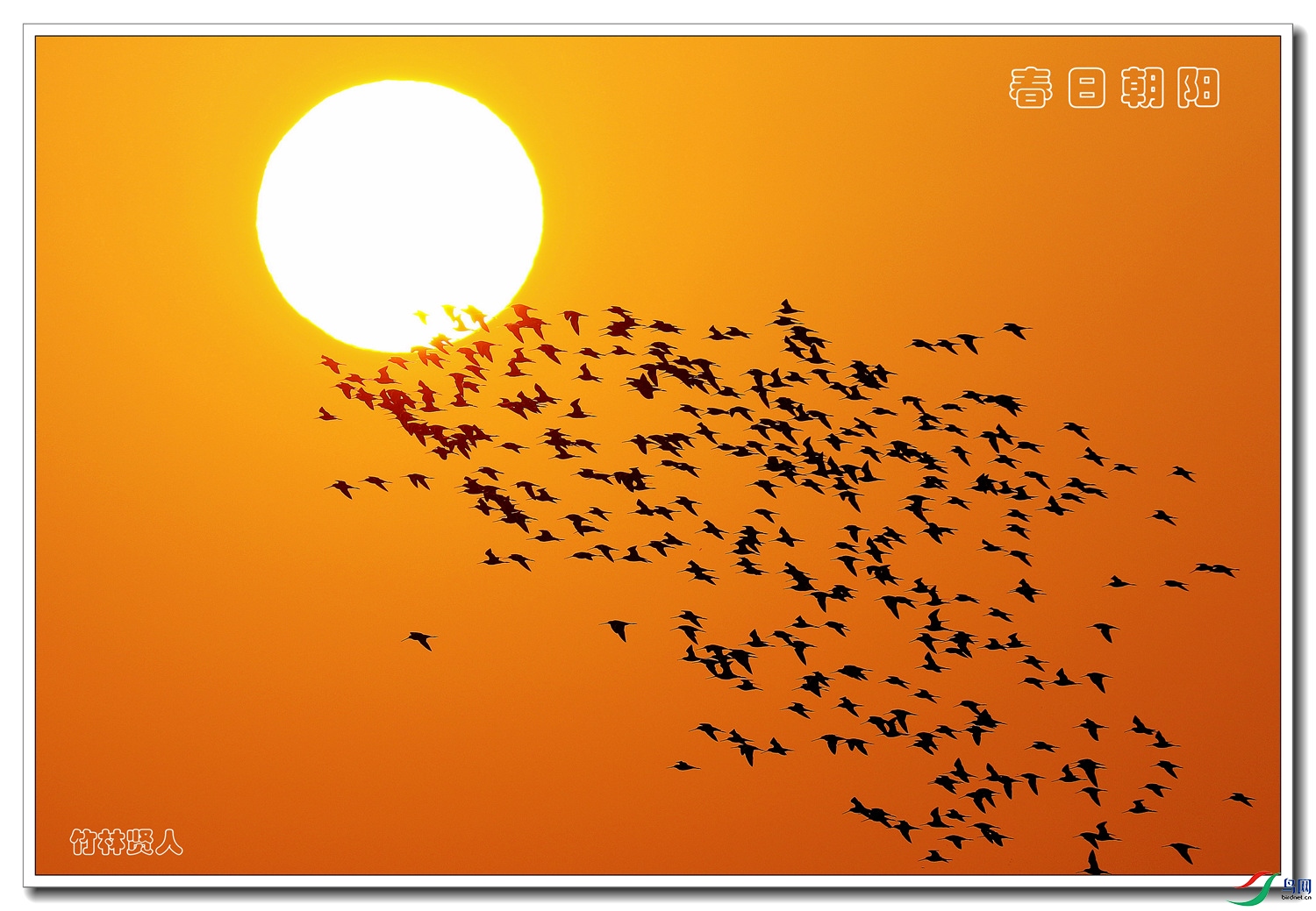 ���ճ���