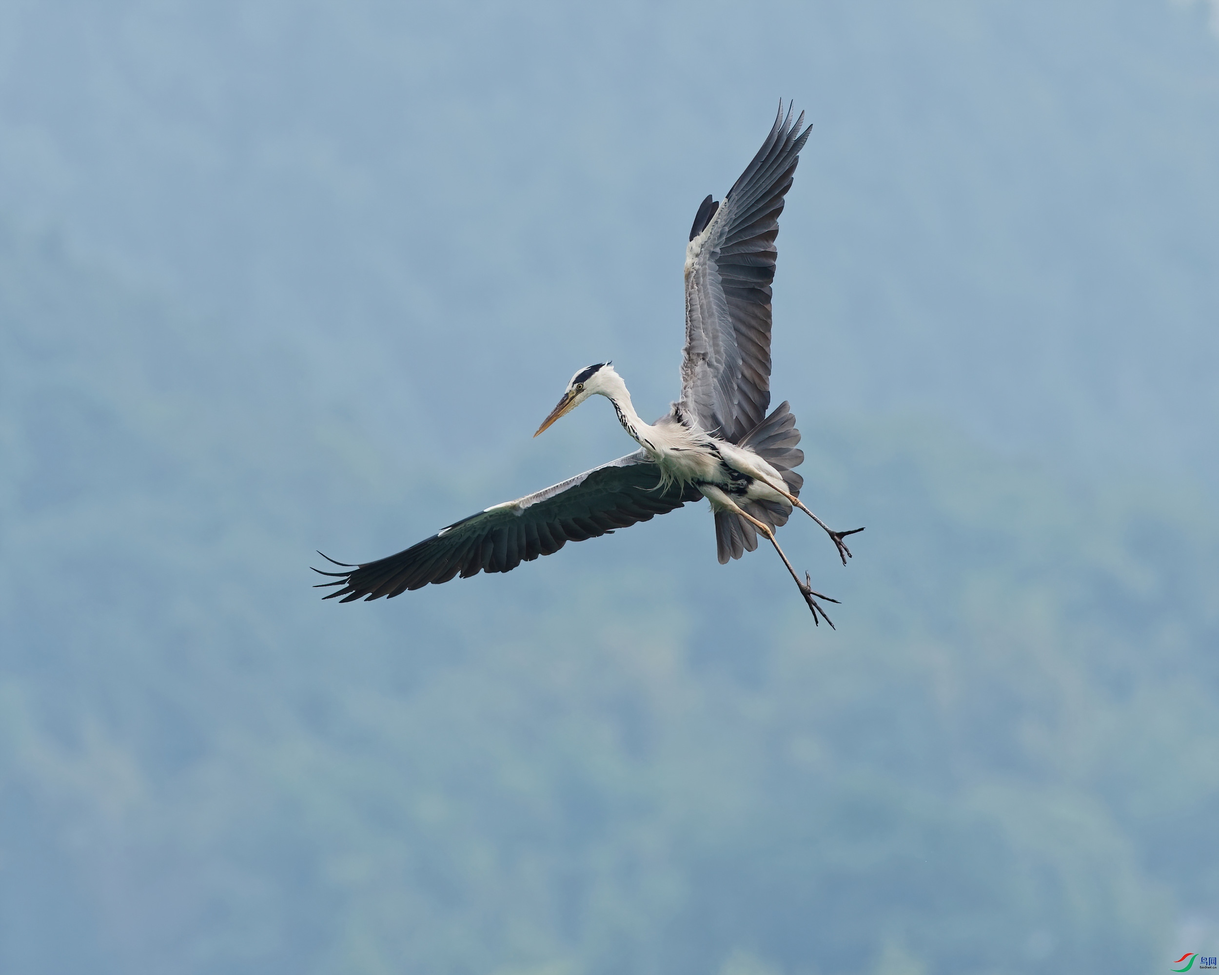 P5220122_DxO-d2.jpg