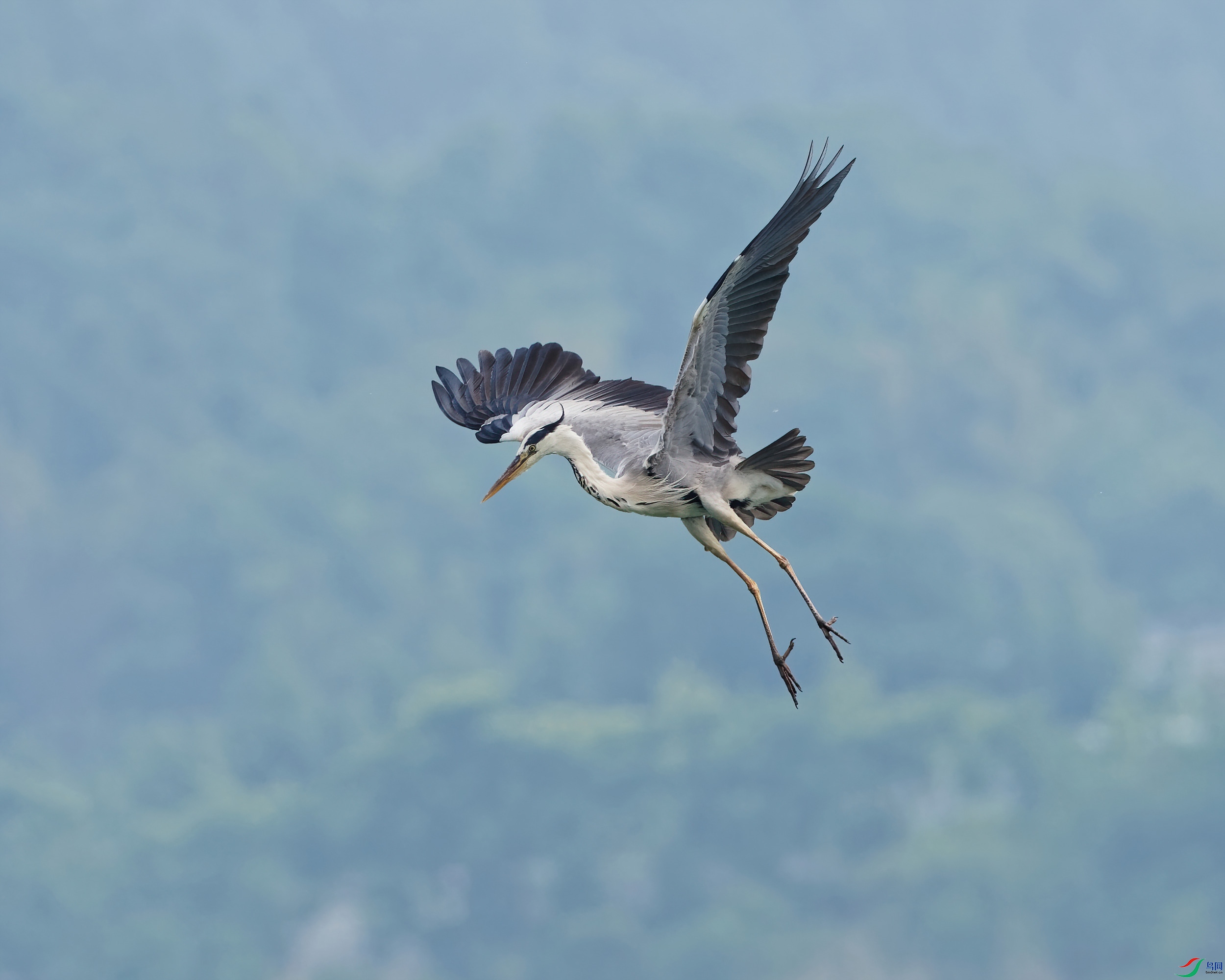 P5220125_DxO-d2.jpg