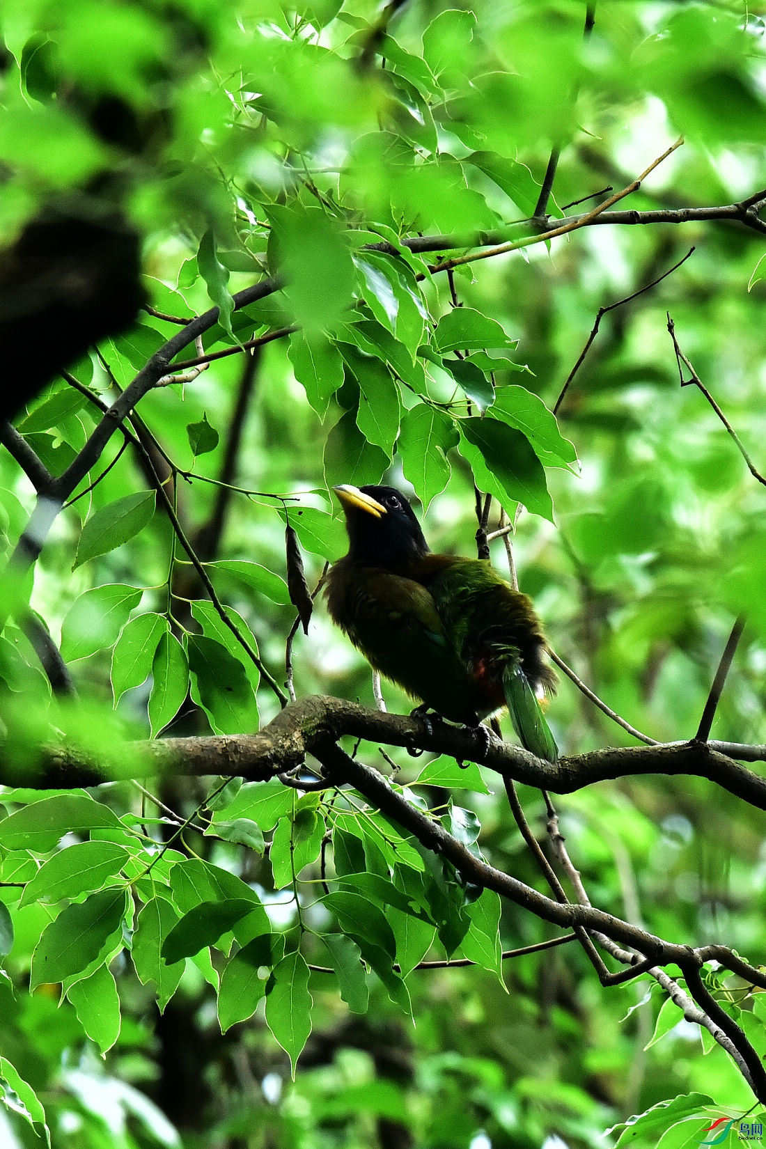DSC_0729.JPG