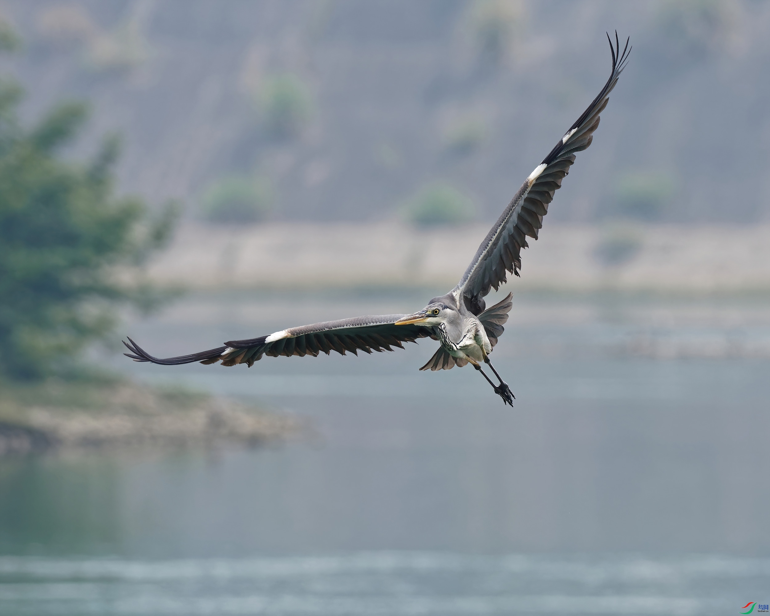 P5220201_DxO-d2.jpg