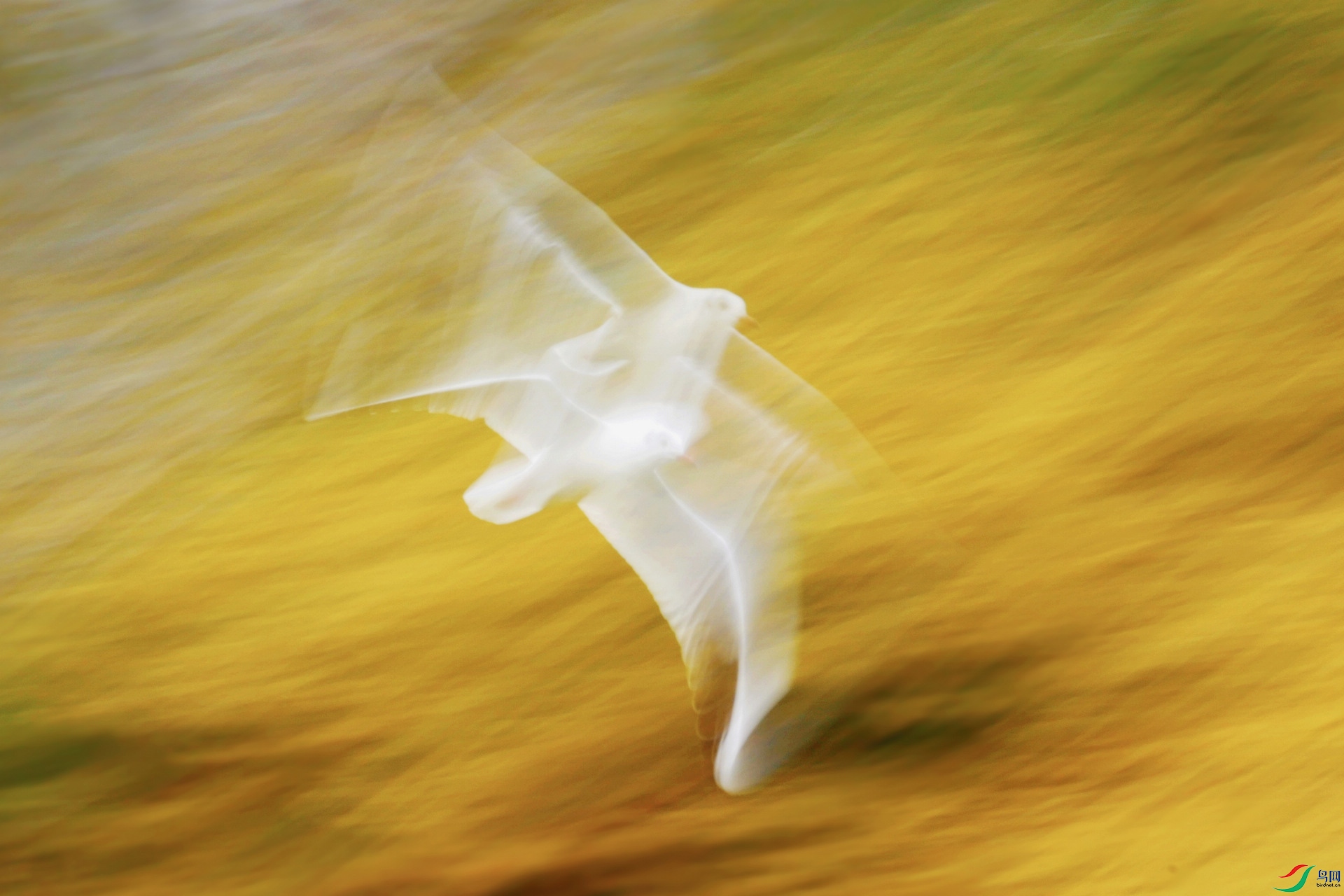 2021010.ֻӰ��˭ȥ����1/8�룩