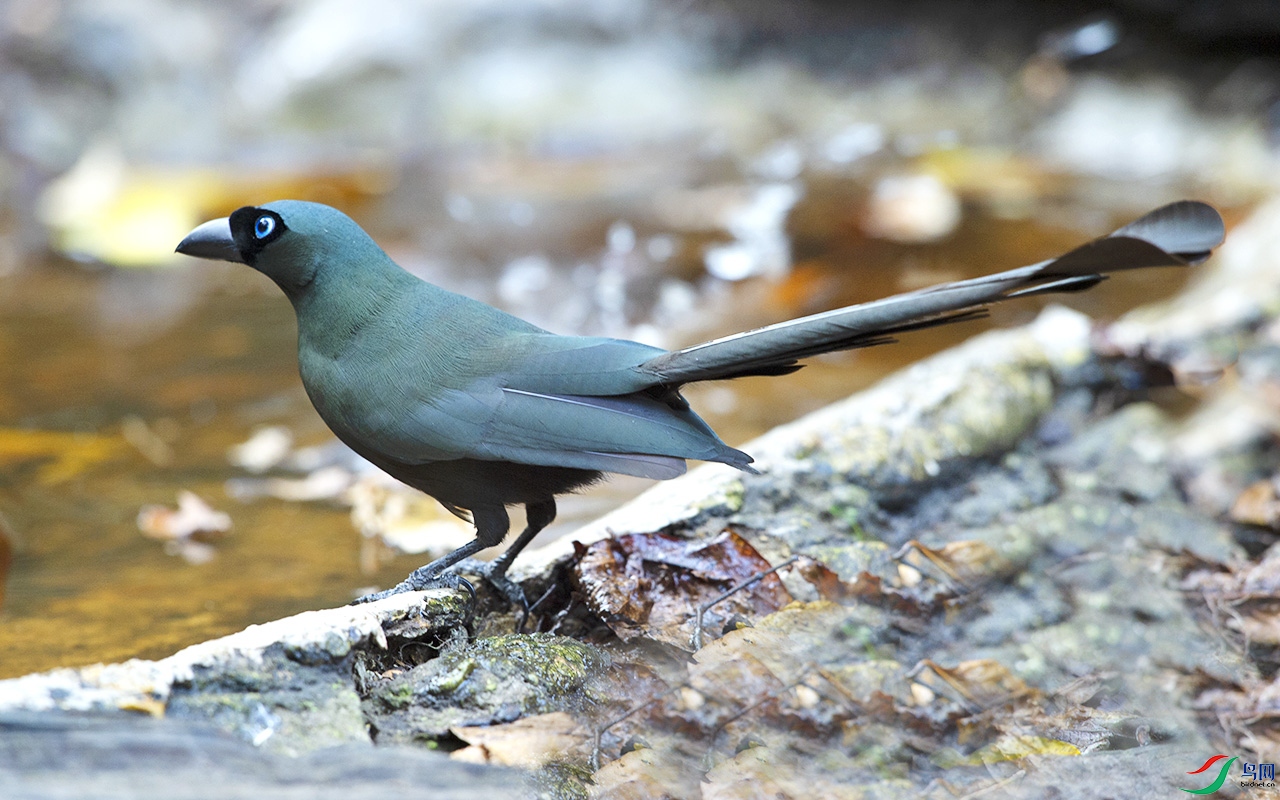 DSC_9258b.jpg