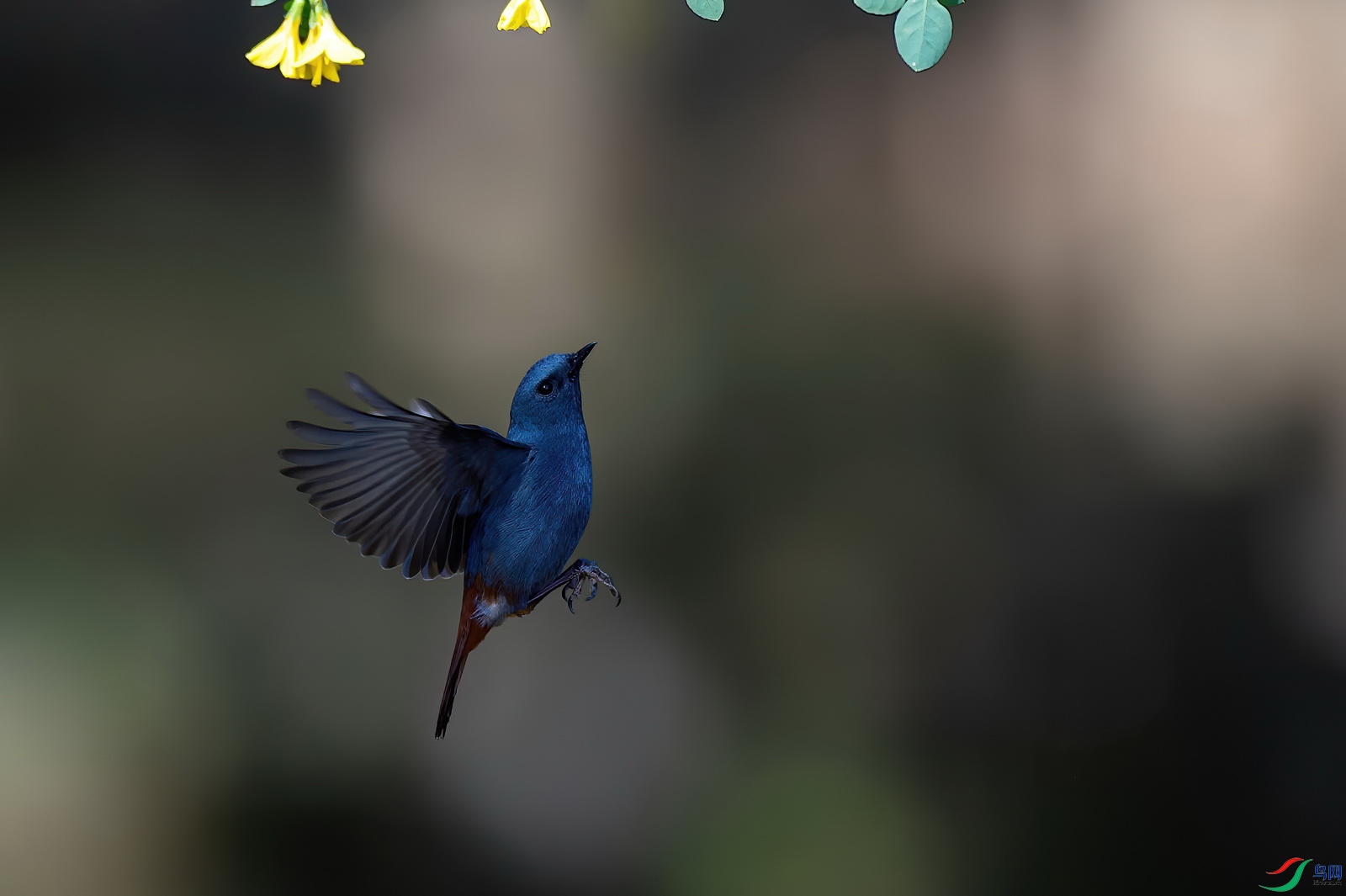 DSC_9738��βˮ�.jpg