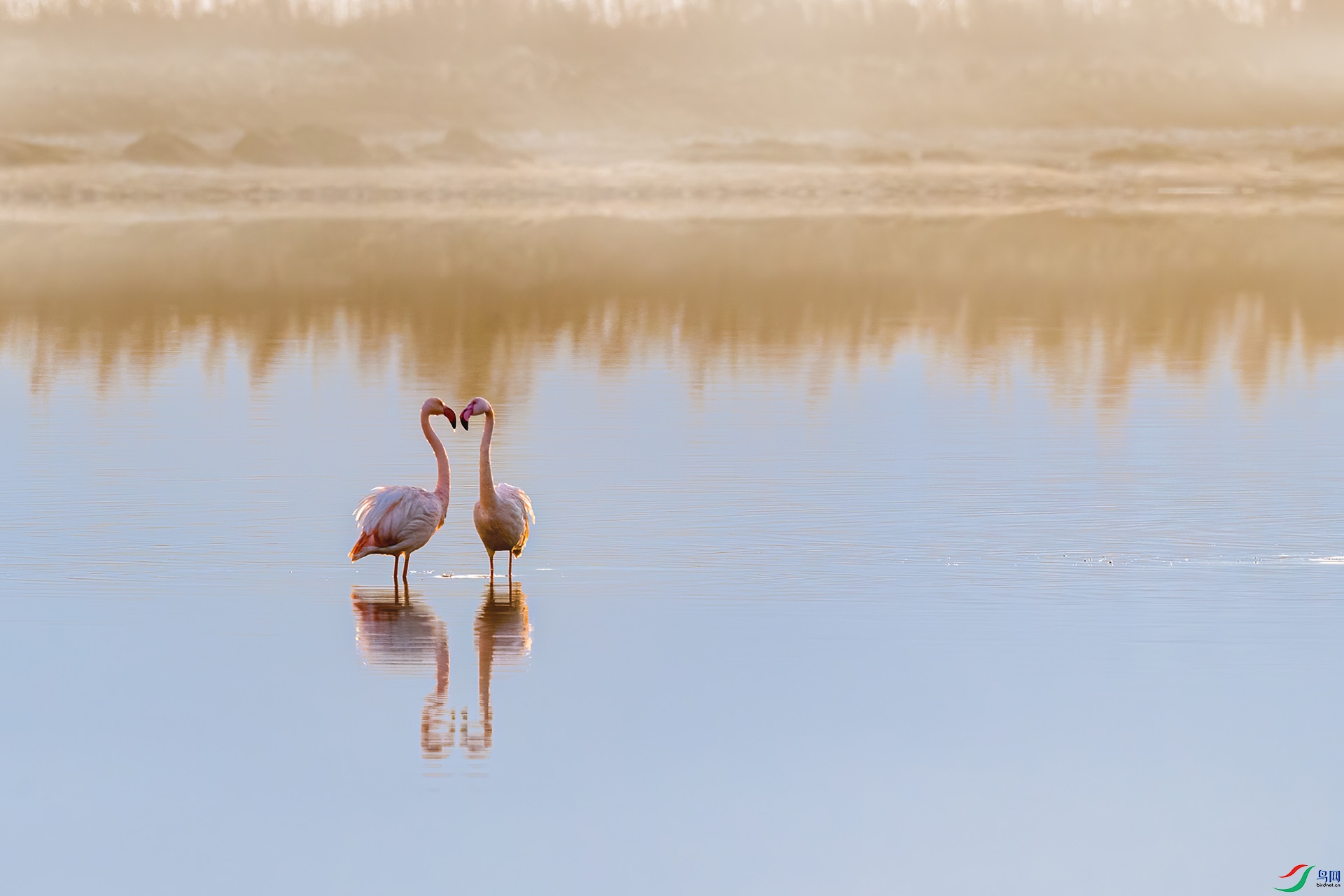 DSC_2388-�༭.jpg