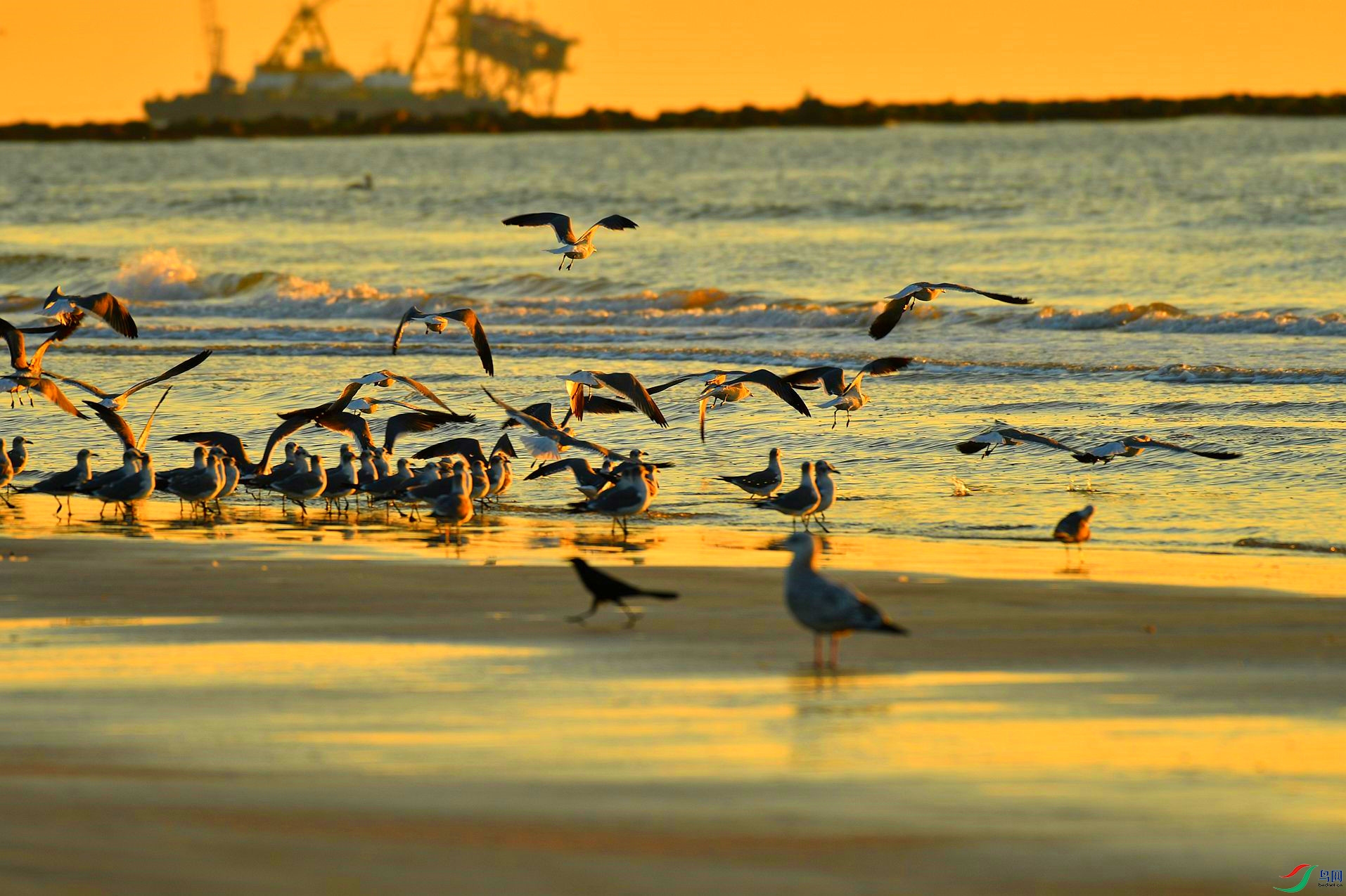 DSC_1246_����_���� - ����.jpg